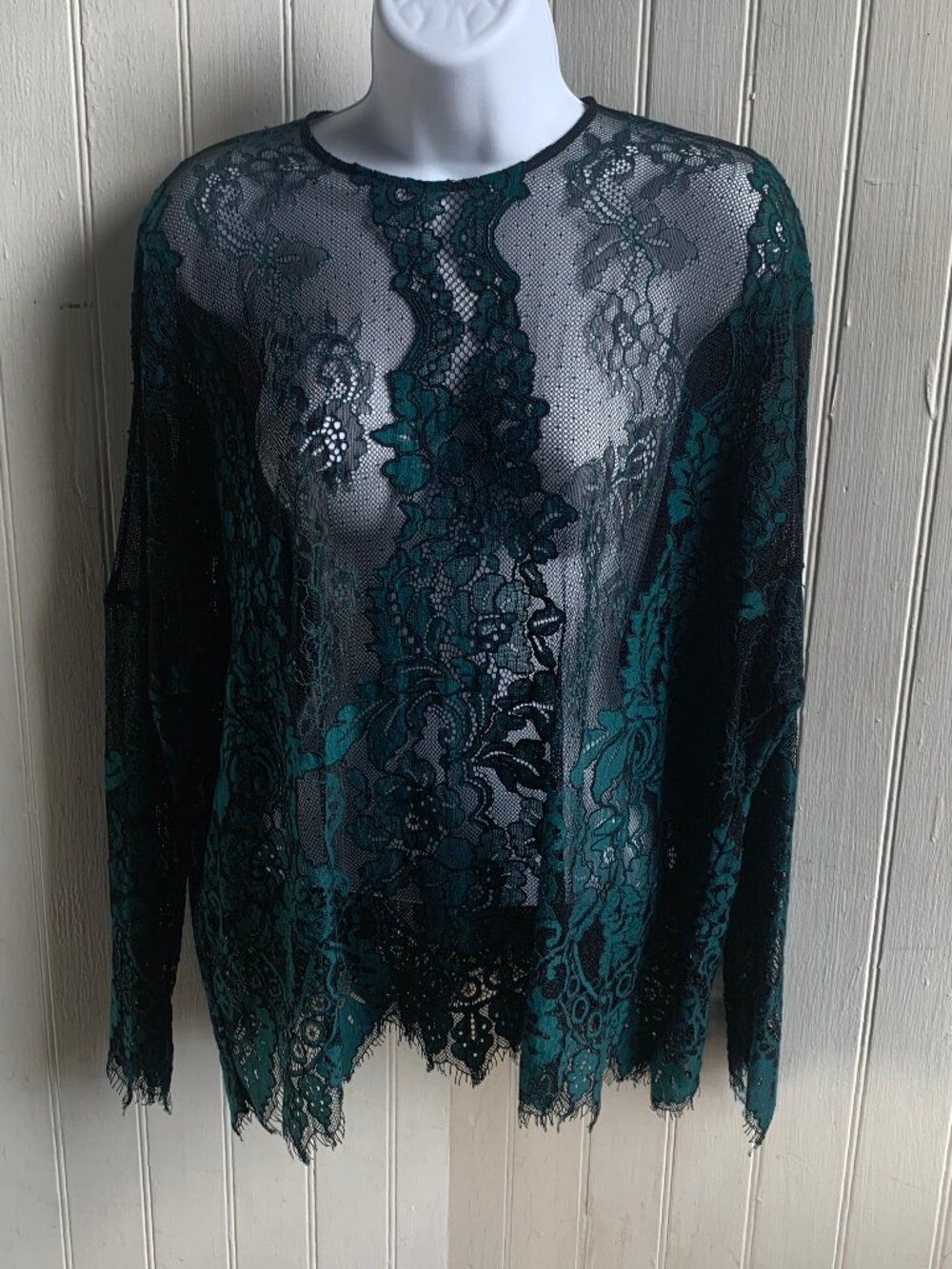 Zara Woman Green Black Lace top Sheer Mesh Long Sleeve Top Fairy Whimsigoth - S